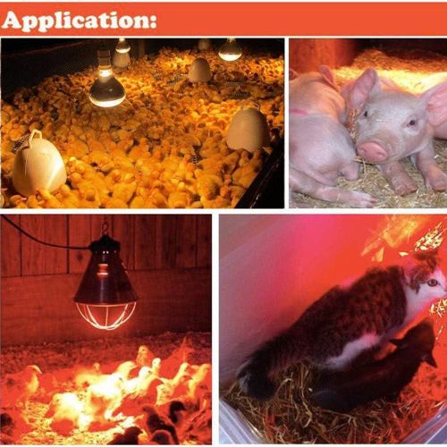 Red Infrared chicken bulb, Heat Lamp for Chickens Coop Brooder and Reptile Heat Bulb 220 Volts Infrared Red Light