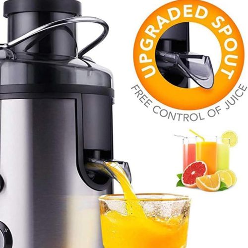 Sokany SK-4000 Heavy Commercial Slow Juicer Juice Extractor, Juicer 800 W for Fruit and Vegetables Stainless Steel, Large 65 mm Filling Opening, 450 ml Juice Container and 2 Speed Levels