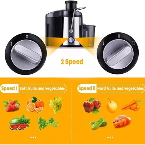 Sokany SK-4000 Heavy Commercial Slow Juicer Juice Extractor, Juicer 800 W for Fruit and Vegetables Stainless Steel, Large 65 mm Filling Opening, 450 ml Juice Container and 2 Speed Levels