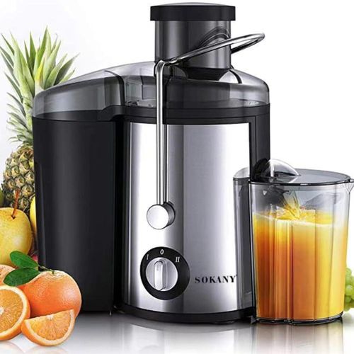 Sokany SK-4000 Heavy Commercial Slow Juicer Juice Extractor, Juicer 800 W for Fruit and Vegetables Stainless Steel, Large 65 mm Filling Opening, 450 ml Juice Container and 2 Speed Levels