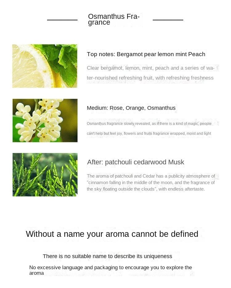 100ml Wood Tone Desert Flowers Fresh And Lasting Fragrance  Perfume