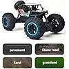RC Cars Rock Crawler with Adjustable Chassis Climb,4WD Remote Control Car,2.4Ghz Monster RC Truck 4 X 4 Monster Truck Rally Buggy Toy Gift