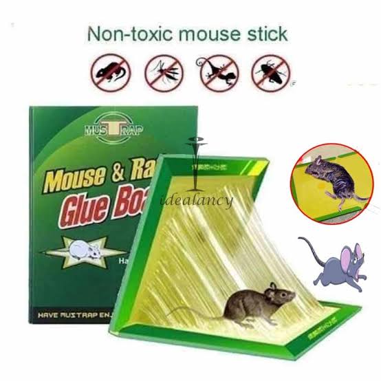 5pcs - Reusable Expert Catch Mouse Glue Traps Mouse Size Glue Traps Sticky Boards Mouse Catcher Mice Professional Strength Glue Insect Lizard Spider Cockroach Rodent Snake Strong