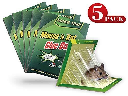 5pcs - Reusable Expert Catch Mouse Glue Traps Mouse Size Glue Traps Sticky Boards Mouse Catcher Mice Professional Strength Glue Insect Lizard Spider Cockroach Rodent Snake Strong