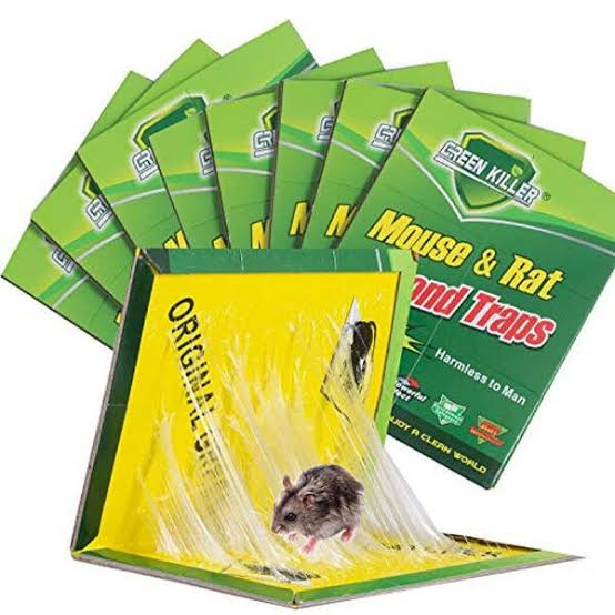 5pcs - Reusable Expert Catch Mouse Glue Traps Mouse Size Glue Traps Sticky Boards Mouse Catcher Mice Professional Strength Glue Insect Lizard Spider Cockroach Rodent Snake Strong