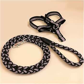 Reflective Stitched Easy Tension Adjustable 2-in-1 Dog Leash and Harness