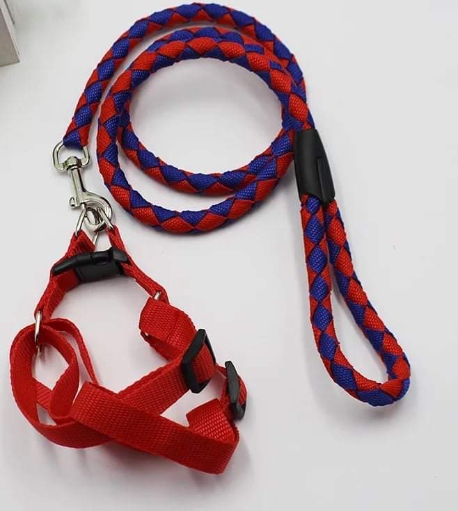 Small Adjustable Dog Harness Outdoor Walking Nylon Leash Lead Pets Durable Traction Training Rope