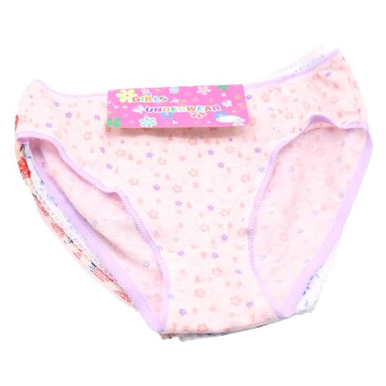 6Pcs Cotton Children Girls Underwear Baby Girl Lace Panty Kids Cute Cartoon Comfortable Panties Baby Clothing