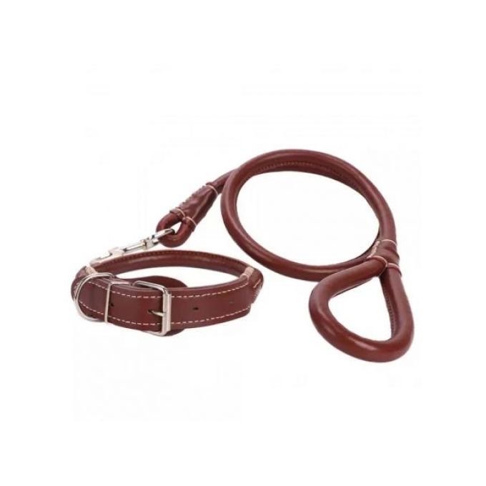 Complete set Easy grip rolled up leather dog collar and leash