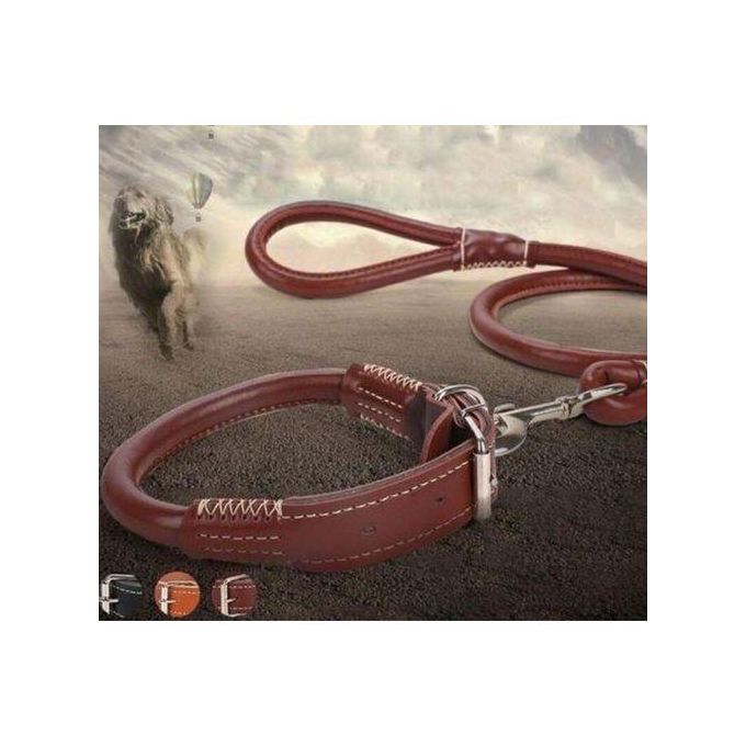 Complete set Easy grip rolled up leather dog collar and leash