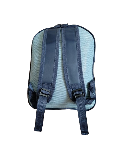UNISEX KIDS BACK PACK SCHOOL CHILDREN BAGS FOR LOWER CLASS KIDS.