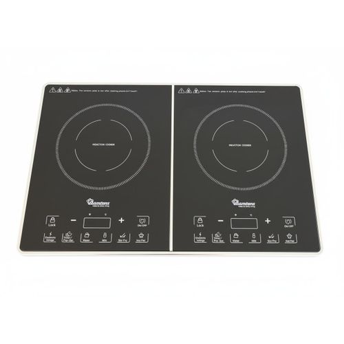 CLEARANCE OFFER Double Ramtons induction cooker with free pan