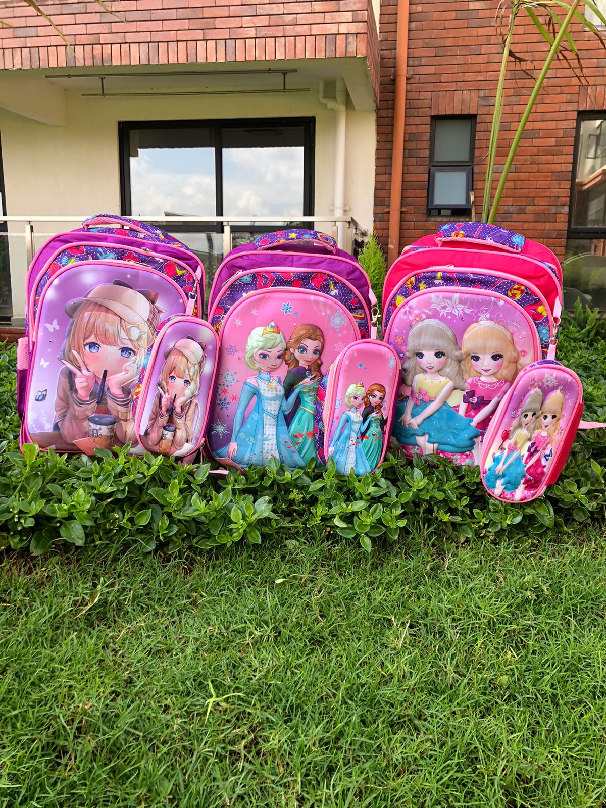 Generic Cartoon Themed School Bag Pack- DIFFERENT CARTOON THEMES FOR BOTH A GIRL AND A BOY