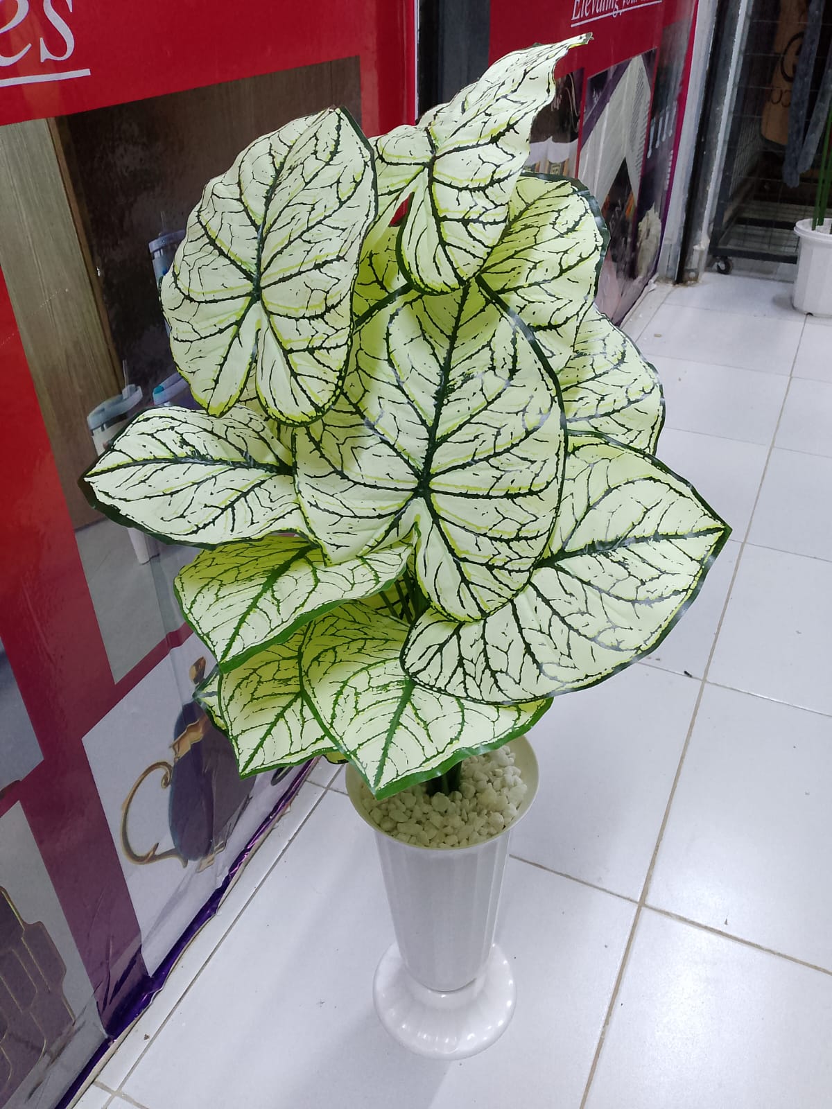 [ EXPERIENCE LUXURY FOR LESS 🤩🤩✨ !!! ] Single  Brand New Very High Quality Stylish Strong and Durable Luxurious Fancy Home Artificial plants . Designed With Durability and Functionality ✔👌