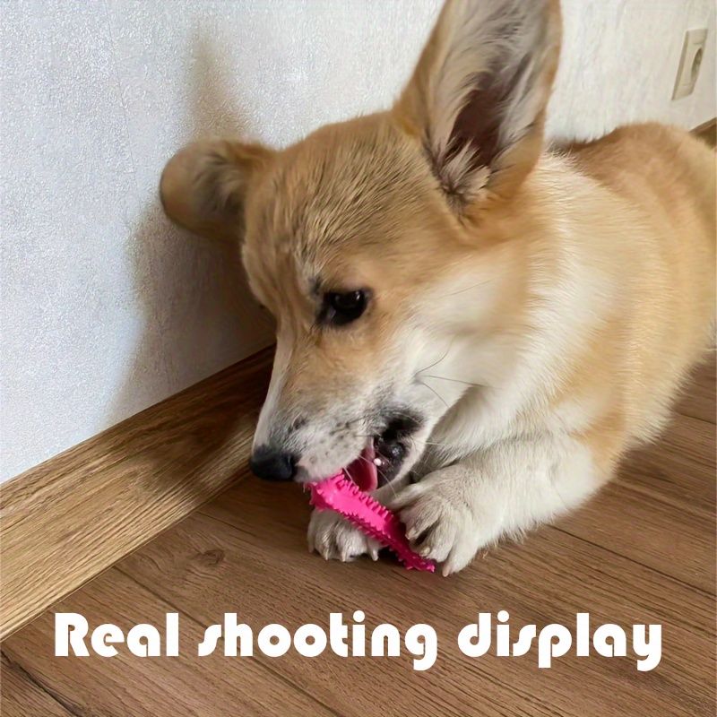 Durable Dog Chew Toy Set - Non-Toxic Rubber Bone Shaped Teeth Cleaner & Gum Stimulator for Fun Training, Interactive Oral Health Care for Puppies and Adults