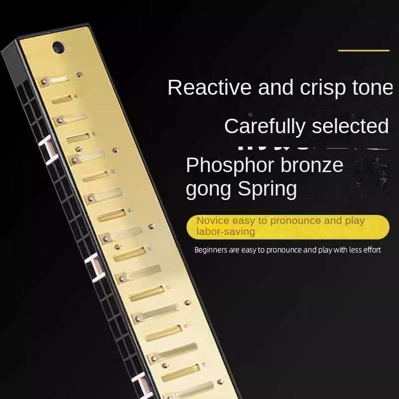 24-Hole C Key Double Tone Harmonica for Beginners - Premium Student & Kids Musical Instrument, Ideal for Classroom & Home Learning, Durable & Easy-Play Starter Wind Organ 24-Hole C Key Double Tone Har