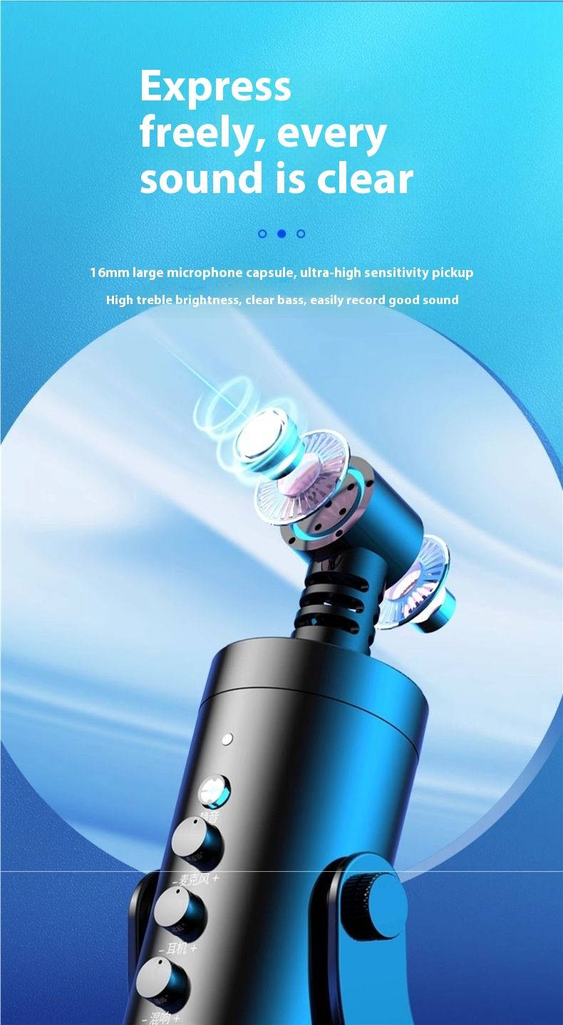 Professional USB Condenser Microphone Studio Recording Mic for PC Computer Gaming Streaming Podcasting Laptop Desktop