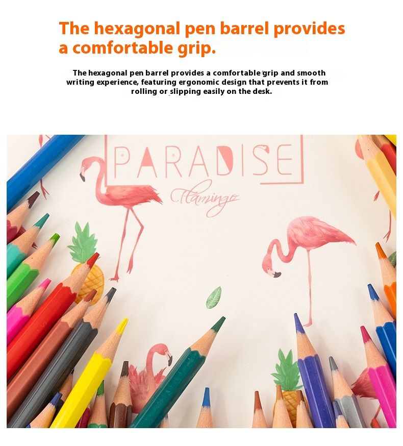 Oil-Based Colored Pencils Set, Art Drawing Supplies for Kids & Students