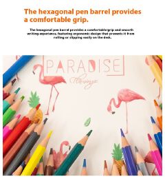 Oil-Based Colored Pencils Set, Art Drawing Supplies for Kids & Students