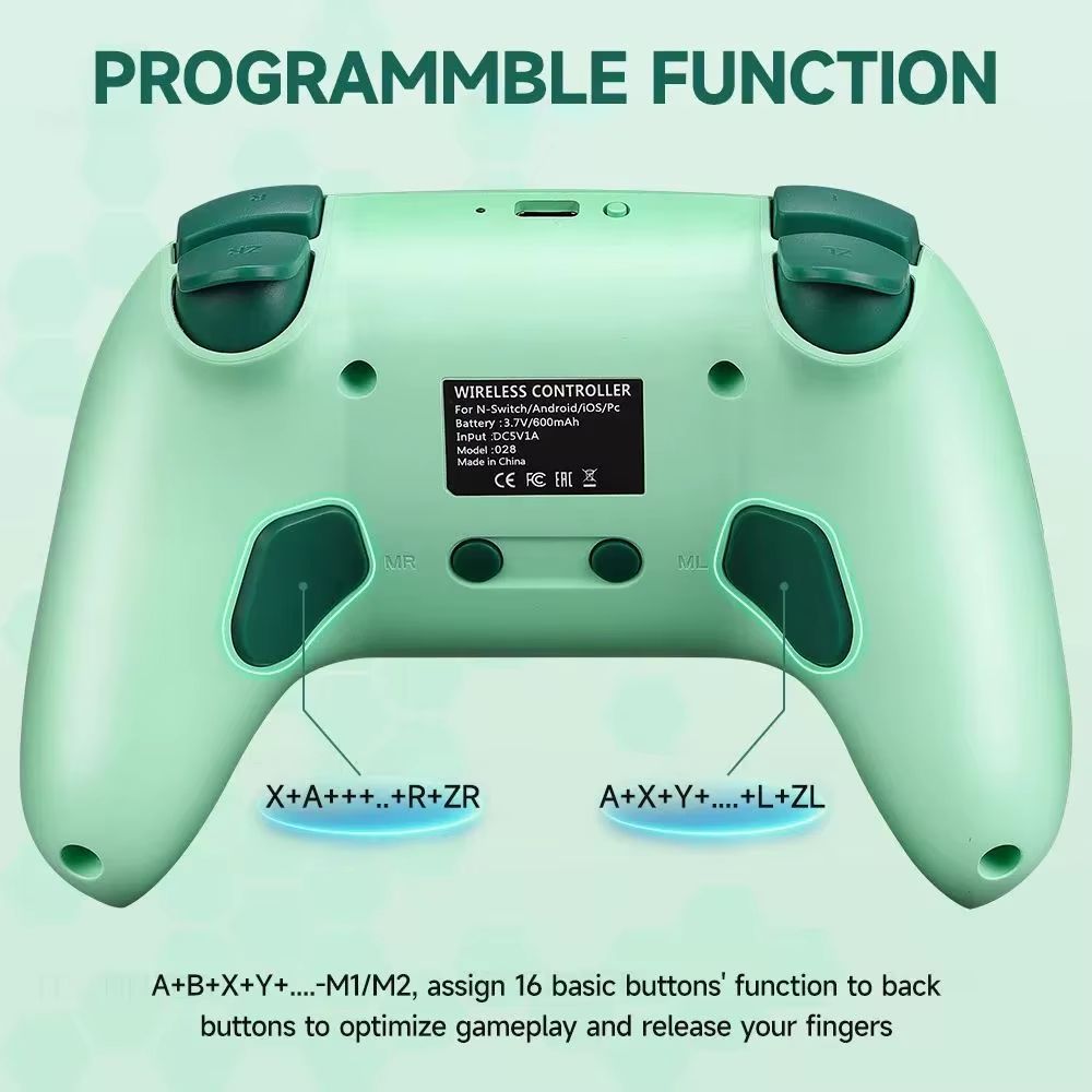 RGB Bt Wireless Controller Gamepad Built in Battery Programmable Turbo Function Joystick for Nintendo Switch OLED/Lite Console