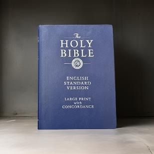 Holy Bible English Standard Version - Vinyl Cover With Gold Edges