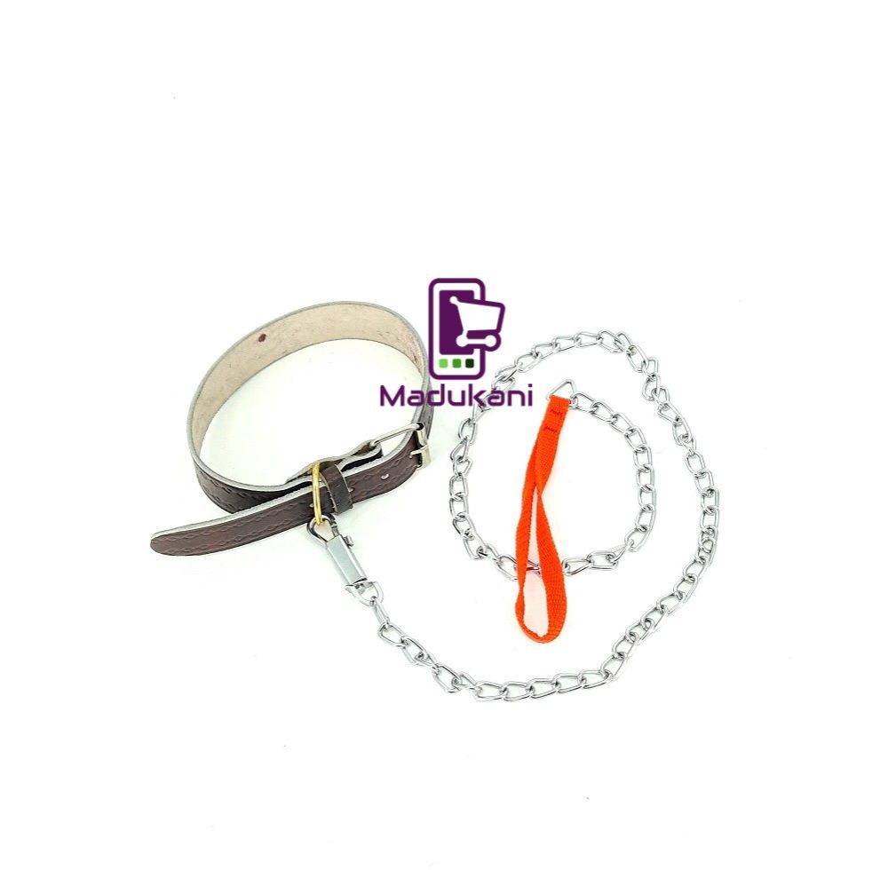 Genuine Leather Collar and 1.2m Chain Leash for Medium Size Dogs