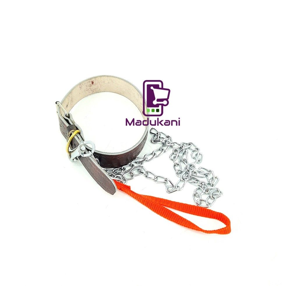 Genuine Leather Collar and 1.2m Chain Leash for Medium Size Dogs