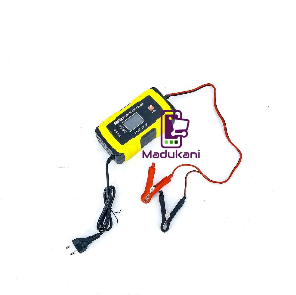 12V 24V Automatic Intelligent Battery Pulse Repair Trickle Charger