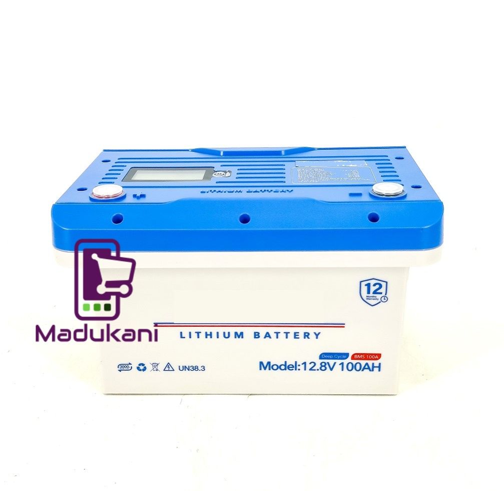 12.8V 100AH BMS100A Deep Cycle Solar Lithium Battery