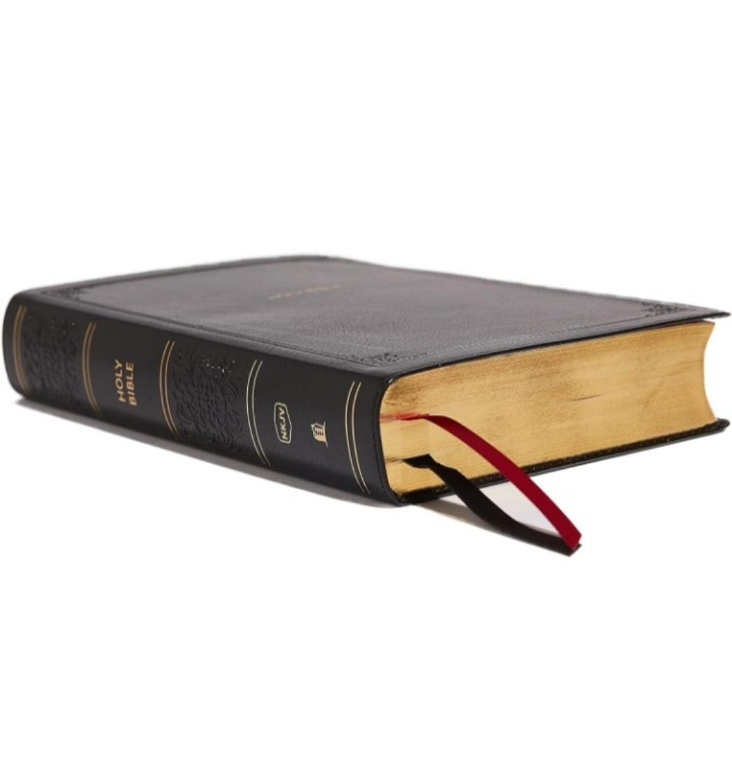 NKJV PERSONAL SIZE LARGE PRINT REFERENCE BIBLE, HOLY BIBLE, NEW KING JAMES VERSION BIBLE, LEATHER COVER BIBLE, THUMB INDEX BIBLE