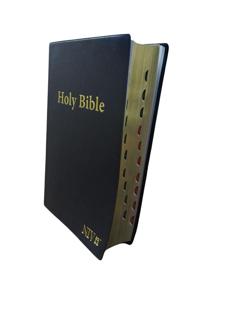 NIV GIANT PRINT THUMB INDEX BIBLE BROWN, NEW INTERNATIONAL VERSION BIBLE, HOLY BIBLE