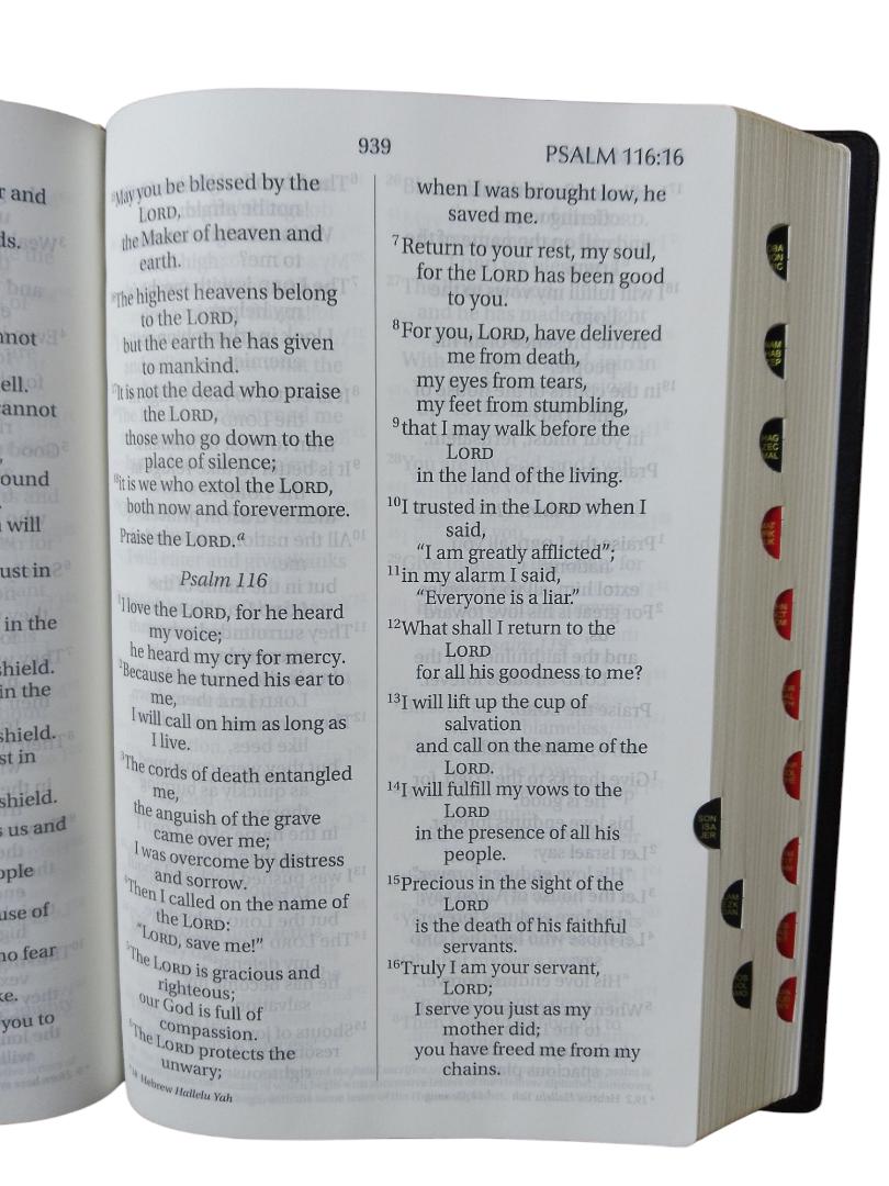 NIV GIANT PRINT THUMB INDEX BIBLE BROWN, NEW INTERNATIONAL VERSION BIBLE, HOLY BIBLE