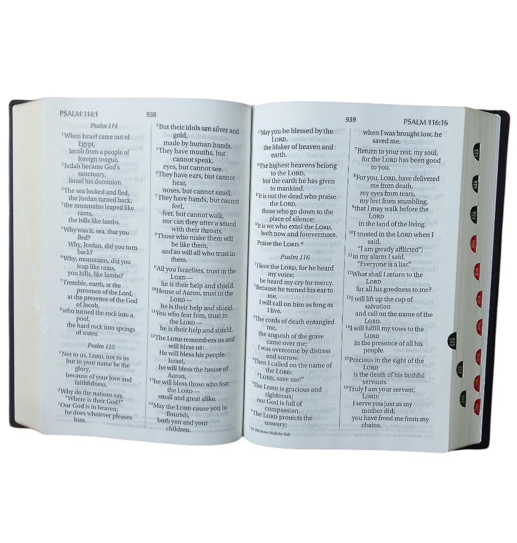 NIV GIANT PRINT THUMB INDEX BIBLE BROWN, NEW INTERNATIONAL VERSION BIBLE, HOLY BIBLE
