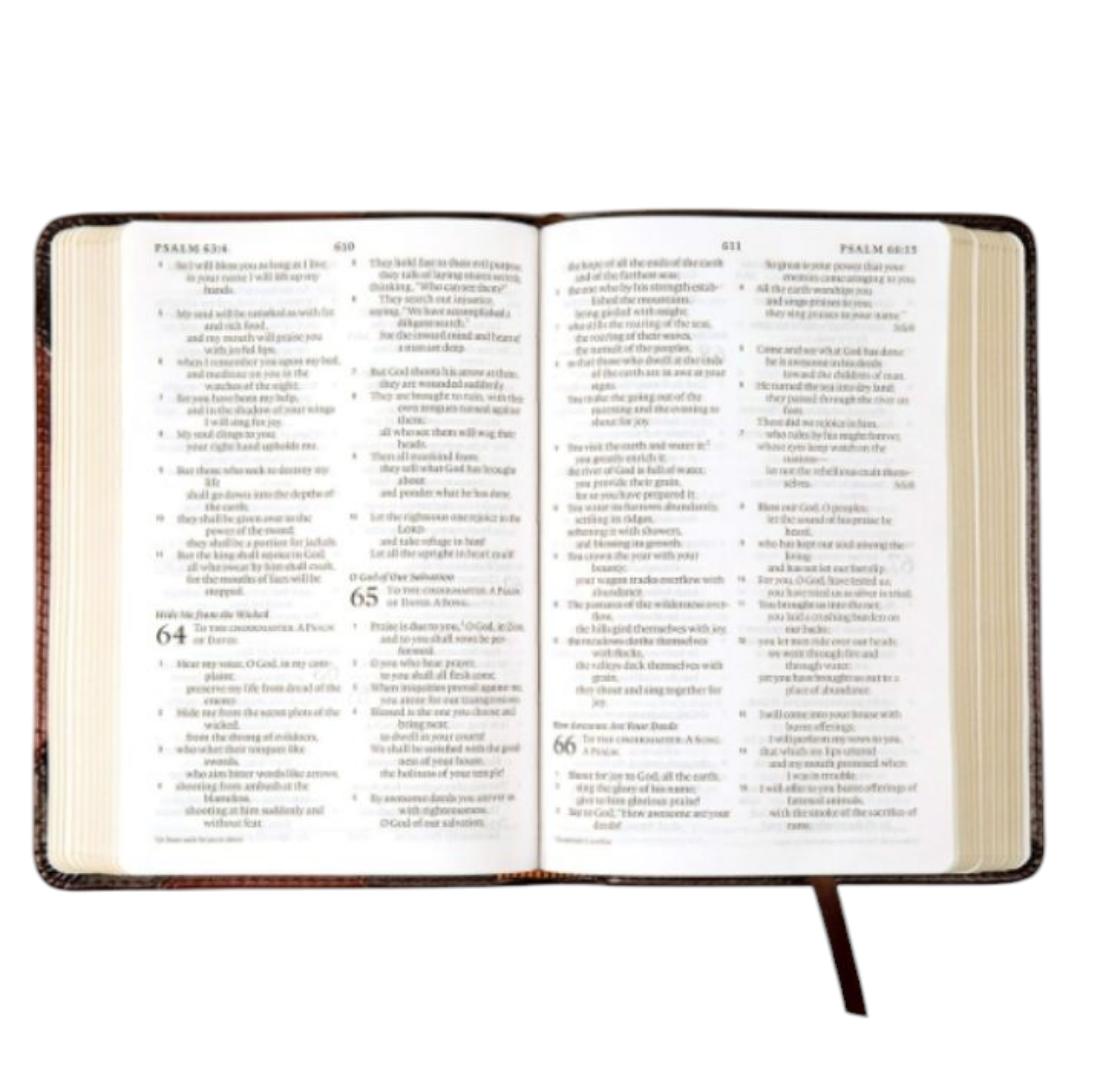 ESV COMPACT LARGE PRINT BIBLE LEATHER COVER BROWN, ENGLISH STANDARD VERSION