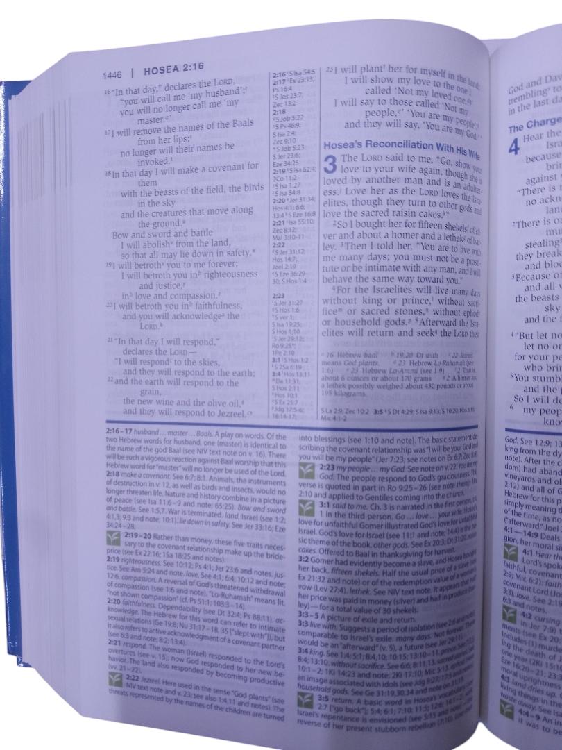 NEW INTERNATIONAL VERSION STUDY BIBLE, HOLY BIBLE HARDCOVER, NIV BIBLE