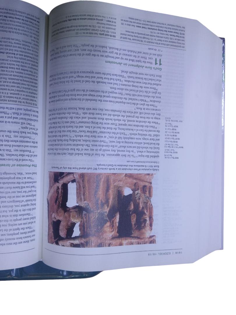 NIV ZONDERVAN STUDY BIBLE LARGE PRINT, HARDCOVER, HOLY BIBLE, NEW INTERNATIONAL VERSION STUDY BIBLE