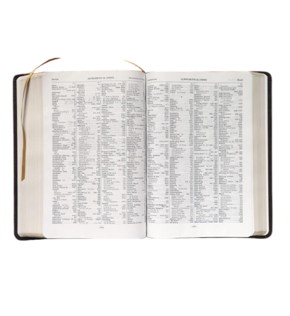 THOMPSON CHAIN REFERENCE BIBLE, ESV BIBLE HOLY BIBLE LEATHER COVER BROWN, ENGLISH STANDARD VERSION BIBLE