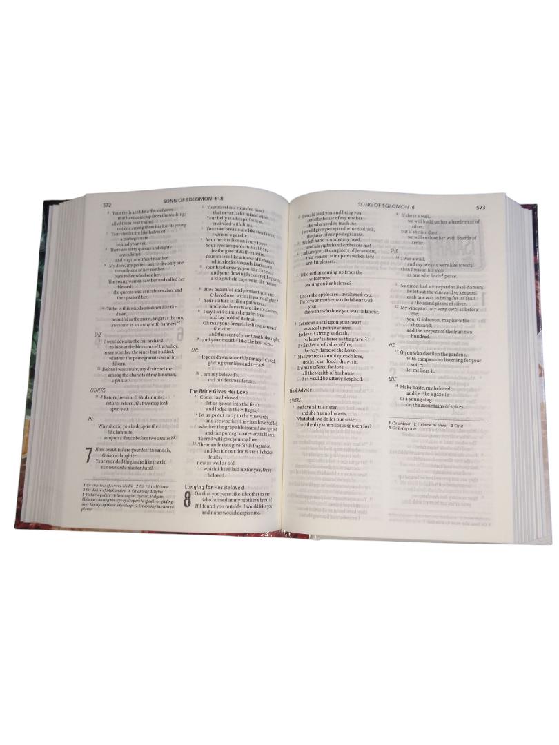 ESV YOUTH BIBLE, HOLY BIBLE HARDCOVER, ENGLISH STANDARD VERSION BIBLE