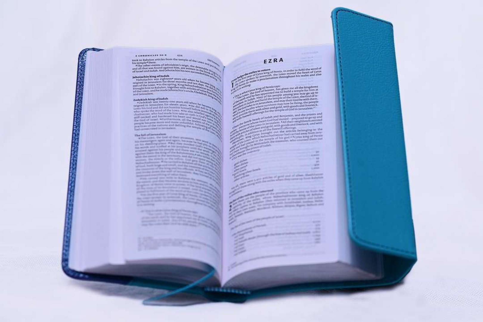 NIV TRIMLINE BIBLE, HOLY BIBLE, LEATHER COVER BIBLE, NEW INTERNATIONAL VERSION BIBLE  BLUE