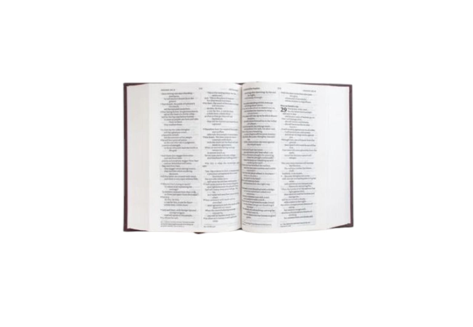 NIV STANDARD BIBLE, NEW INTERNATIONAL VERSION BIBLE, HARD COVER BIBLE, HOLY BIBLE BROWN