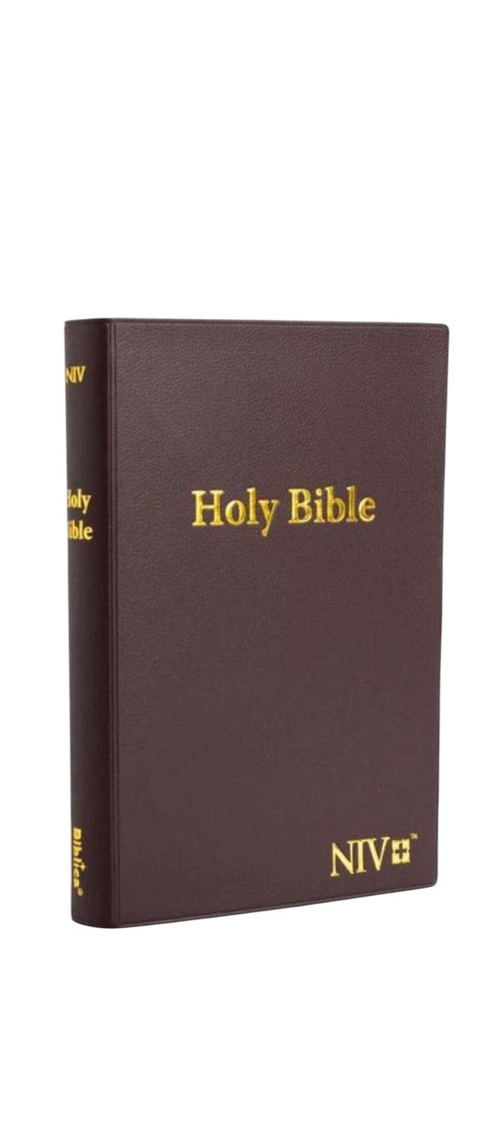 NIV STANDARD VERSION BIBLE, VINYL BIBLE, HOLY BIBLE, SOFT COVER BIBLE BROWN, NEW INTERNATIONAL VERSION BIBLE