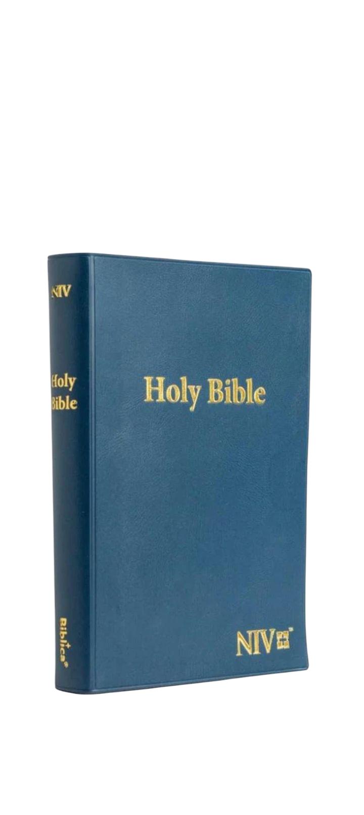 NIV STANDARD BIBLE, SOFTCOVER BLUE BIBLE, HOLY BIBLE, NEW INTERNATIONAL VERSION BIBLE