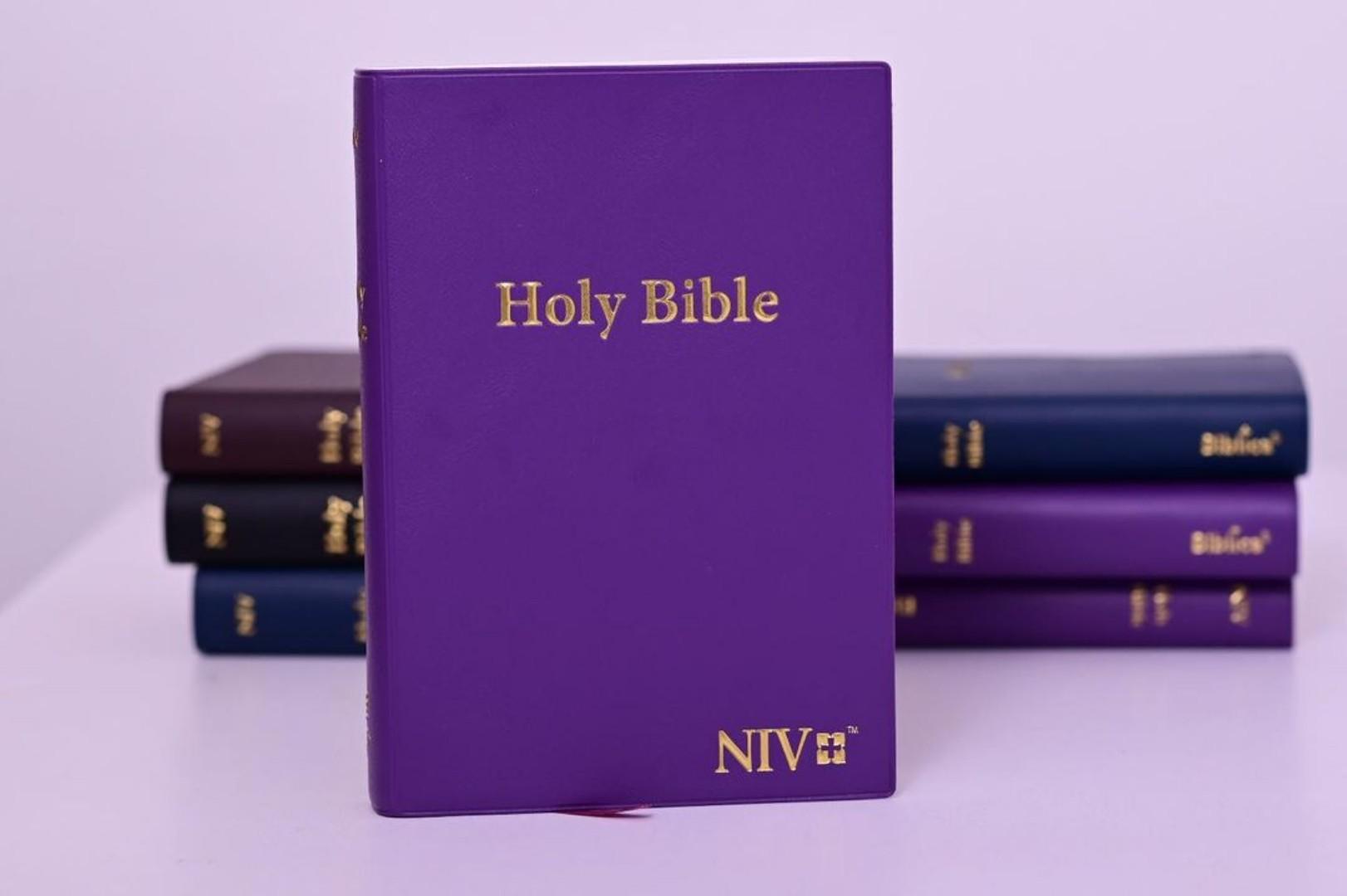 NIV STANDARD BIBLE, NEW INTERNATIONAL VERSION BIBLE, HOLY BIBLE SOFT COVER PURPLE, HOLY BIBLE
