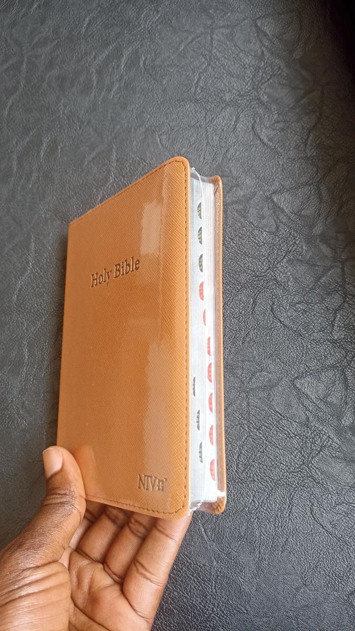 NIV medium index Bible, New International Version Bible, Holy bible, compact bible