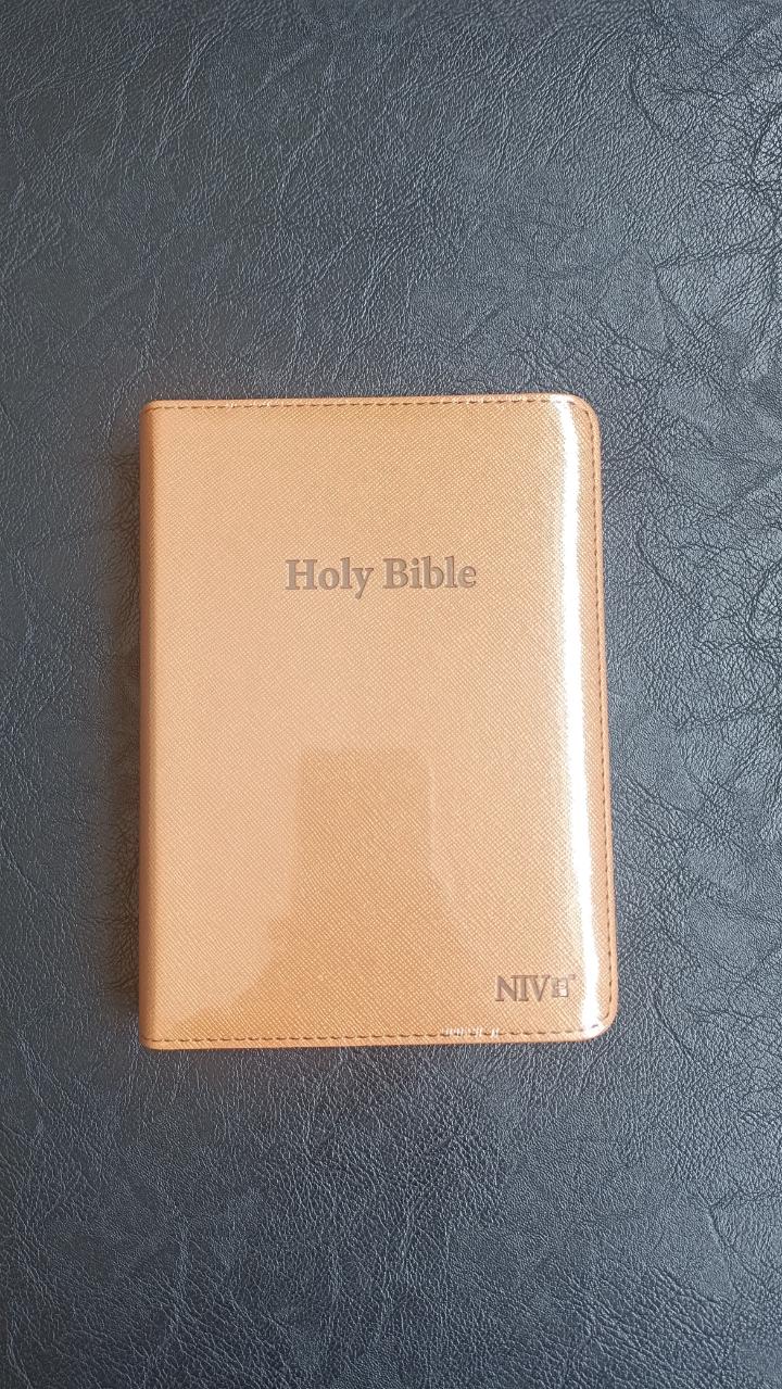 NIV medium index Bible, New International Version Bible, Holy bible, compact bible