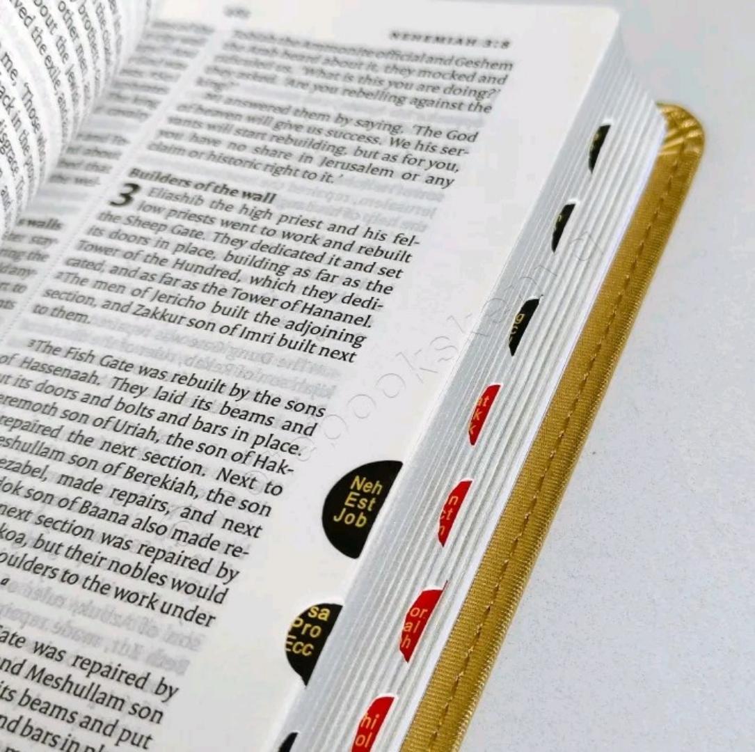 NIV medium index Bible, New International Version Bible, Holy bible, compact bible
