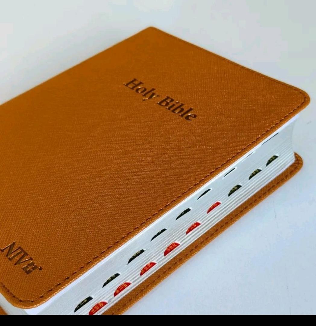 NIV medium index Bible, New International Version Bible, Holy bible, compact bible