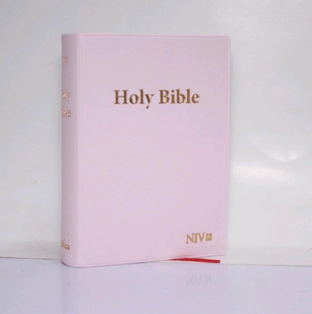 NIV MINI POCKET VINYL SOFTCOVER PINK, HOLY BIBLE, NEW INTERNATIONAL VERSION BIBLE, VINYL COVER