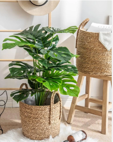 HOT SALE!!!! ARTIFICIAL/FAUX HOME DECOR MONSTERA PLANT (80cm)- GREEN WITH MEDIUM SISAL BASKET