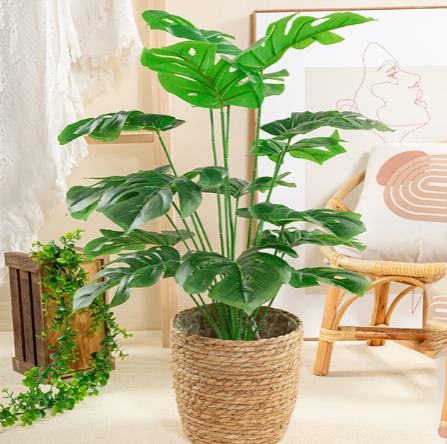 HOT SALE!!!! ARTIFICIAL/FAUX HOME DECOR MONSTERA PLANT (80cm)- GREEN WITH MEDIUM SISAL BASKET